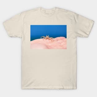 Little crab on human hand against blue sky and green ocean T-Shirt